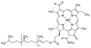 klorofil-d molekula